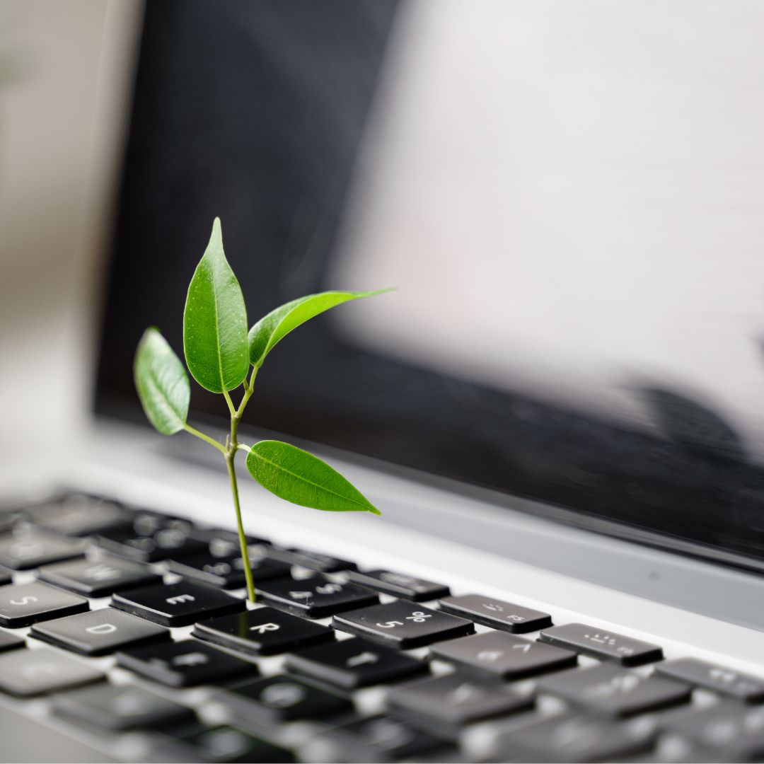 laptop with leaf growing out of it